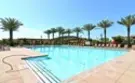 147 Stallion thumbnail 46