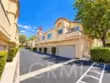21156 Gladiolos thumbnail 13