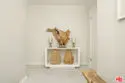 125 Montana Avenue #204 thumbnail 4