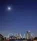 453 Almond Avenue #6 thumbnail 25