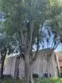 3054 Associated Road #20 thumbnail 8