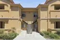 41410 Juniper thumbnail 1