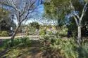 889 Date Street #116 thumbnail 40