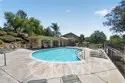 42124 Orange Blossom thumbnail 32