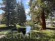 700 E Lake #67 thumbnail 3