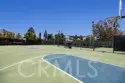 306 Orange Blossom thumbnail 11