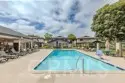 16684 Arbor #110C thumbnail 17