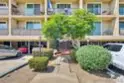 4477 Mentone Street Unit 105 thumbnail 40