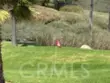 31166 Sunningdale Drive thumbnail 40