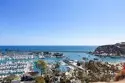 33611 Dana Vista Drive #31 thumbnail 33