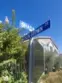 3948 Lavine Way #101 thumbnail 25