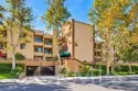 460 Oak Street #215 thumbnail 1