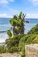 34126 Selva Road #299 thumbnail 57