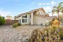 24591 Pantera Court thumbnail 45