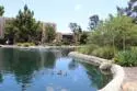 5700 Baltimore Drive #178 thumbnail 52