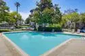 1965 Wellington Lane #2 thumbnail 32