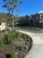 21245 Camelia #27 thumbnail 34