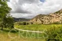 16652 Nicklaus Drive #94 thumbnail 33