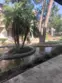 10550 N Lakeside Drive #A thumbnail 10