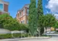 7 Medici Ais thumbnail 4