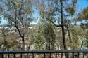 2330 Hosp Way #304 thumbnail 16