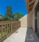 303 Tangelo #347 thumbnail 24