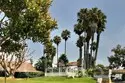 33611 Dana Vista Drive #31 thumbnail 42