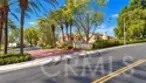 21156 Gladiolos thumbnail 16