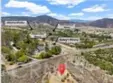 36499 Linda Rosea thumbnail 56
