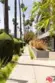 6001 Carlton Way #209 thumbnail 21