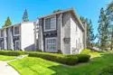 14978 Avenida Venusto #57 thumbnail 5