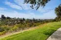 10854 Macouba Place thumbnail 37