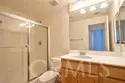 45743 Magnolia thumbnail 18