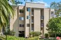 1211 Raintree Circle thumbnail 29