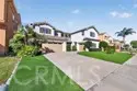 45339 Tiburcio thumbnail 47