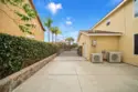 26352 Palm Tree thumbnail 67
