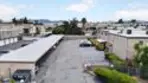 280 Roanoke Road thumbnail 36