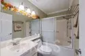 38 Carnation thumbnail 23