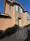 824 Coriander #504 thumbnail 1