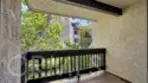 9214 Summertime Lane thumbnail 17