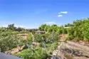 41999 Altanos Road thumbnail 54