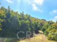 43605 Los Gatos thumbnail 4