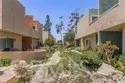 10758 Knott thumbnail 30
