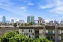 835 Locust thumbnail 21