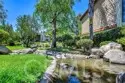 21555 Burbank Boulevard #47 thumbnail 17