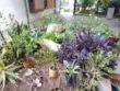 13050 Dronfield #13 thumbnail 8