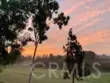 4 Sea Island Drive thumbnail 10