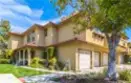 25261 Tanoak thumbnail 2
