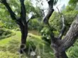 7050 Shoup #221 thumbnail 32