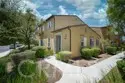 37338 Paseo Tulipa thumbnail 3